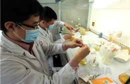 Việt Nam chia sẻ kinh nghiệm về ứng dụng y học hạt nhân trong khám, chữa bệnh 